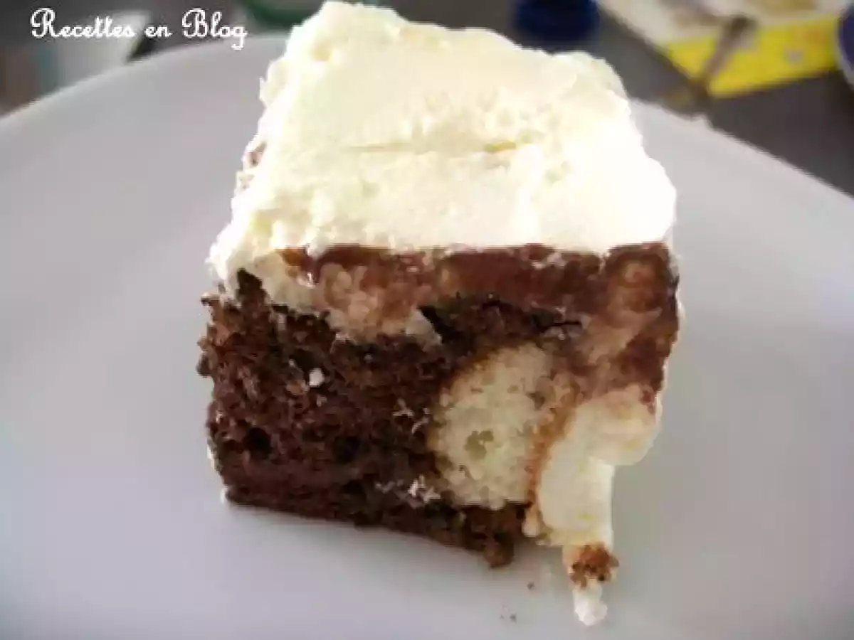 GATEAU MOUSSE BAVAROISE AU CHOCOLAT NOIR