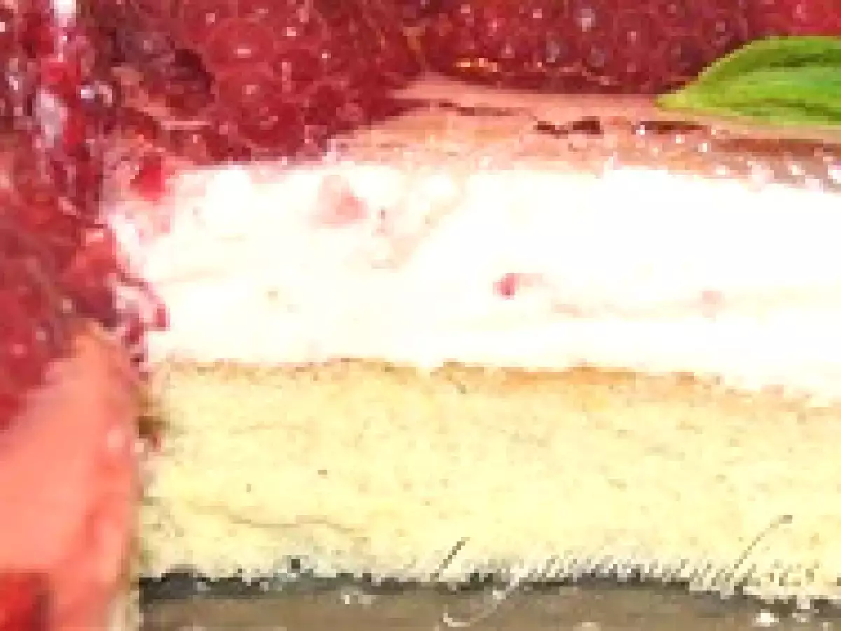 Gâteau - mousse ?Charme de fruits ? - photo 6