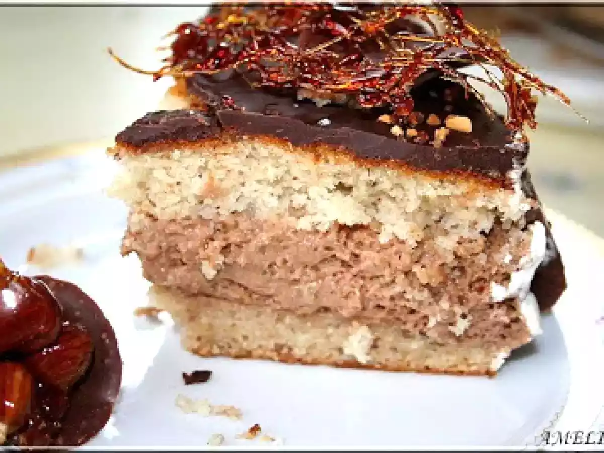 GATEAU NOISETTE- MOUSSE CHOCO-PRALINOISE - photo 2