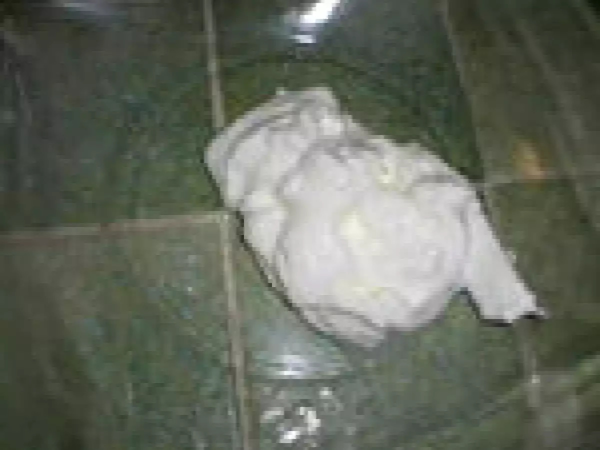 Gâteau pomme, poire, banane - photo 4