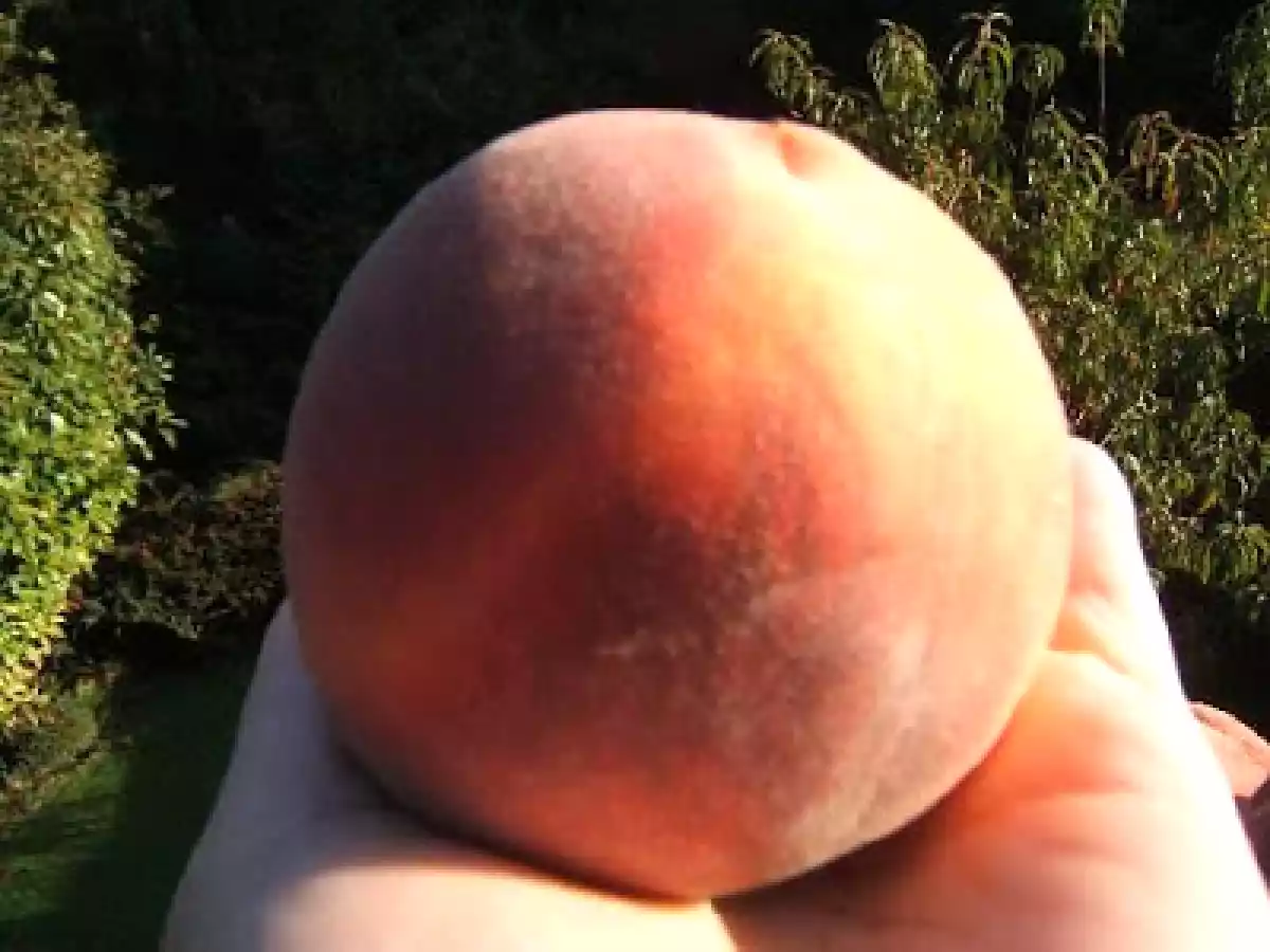 Gâteau très rustique aux pêches et piments d'Espelette - photo 5