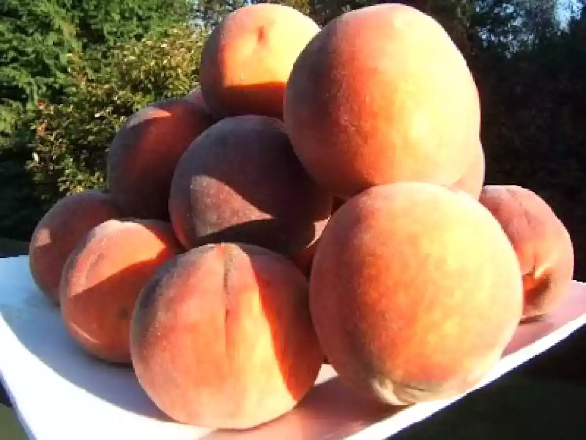 Gâteau très rustique aux pêches et piments d'Espelette - photo 6
