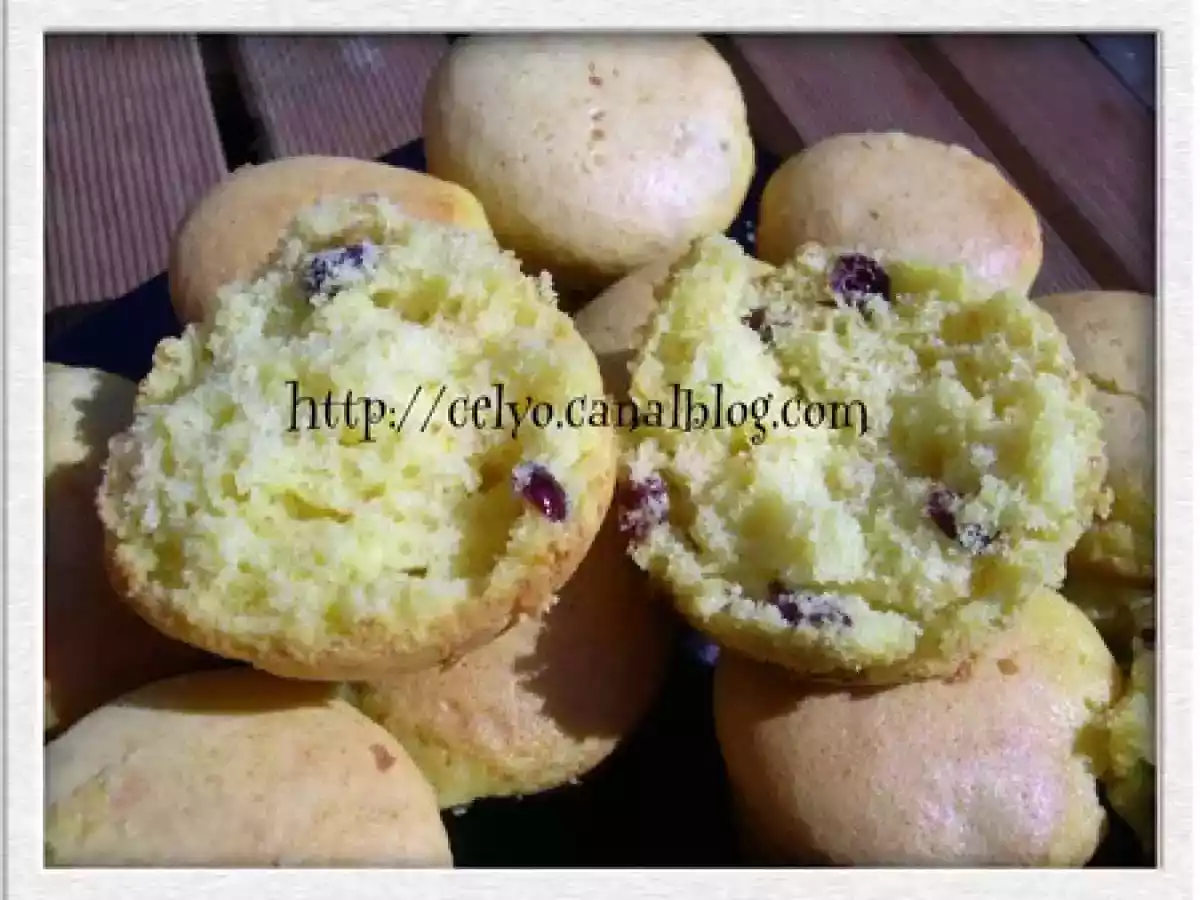 Gâteaux aux cranberries, chocolat blanc et safran - photo 2