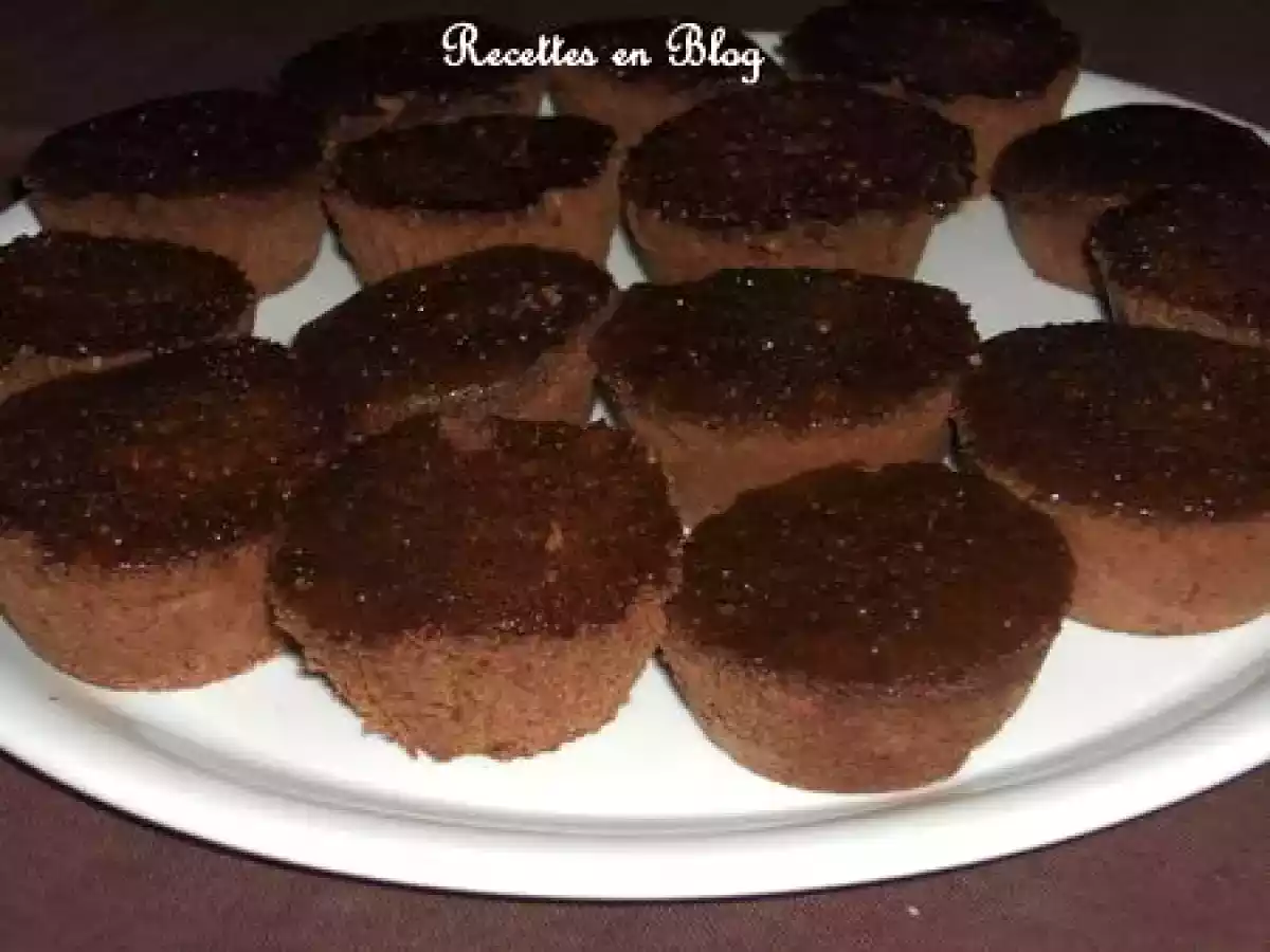 GATEAUX INDIVIDUELS AU CHOCOLAT NOIR ULTRA RAPIDES - photo 2