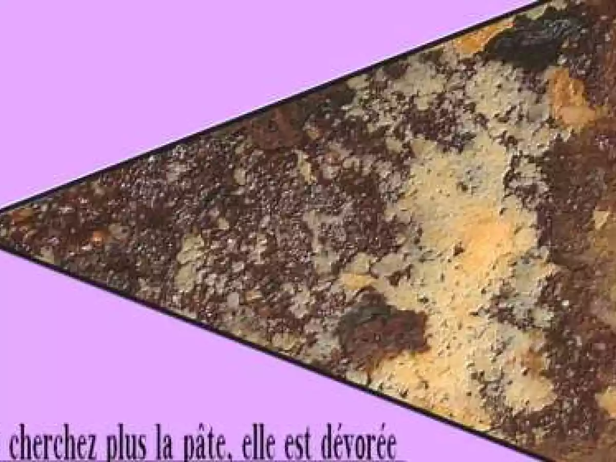 Gâterie au chocolat et amandes