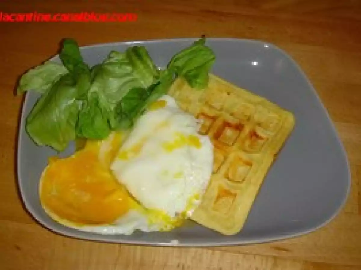 Gaufres salées .... c'est approuvé