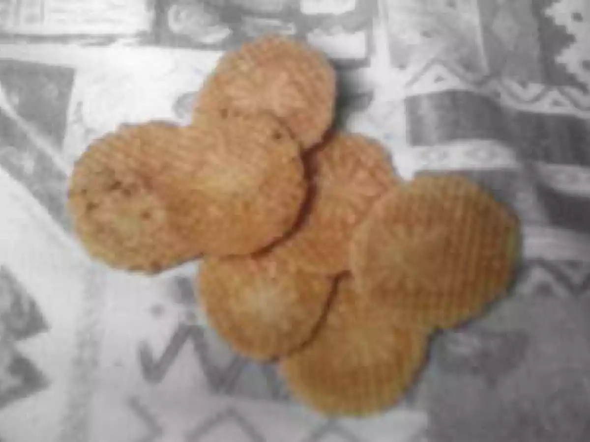 Gaufres seches du nord