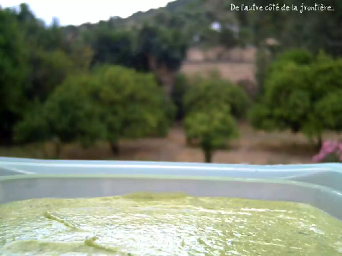 GAZPACHO AVOCAT-CONCOMBRE - photo 2