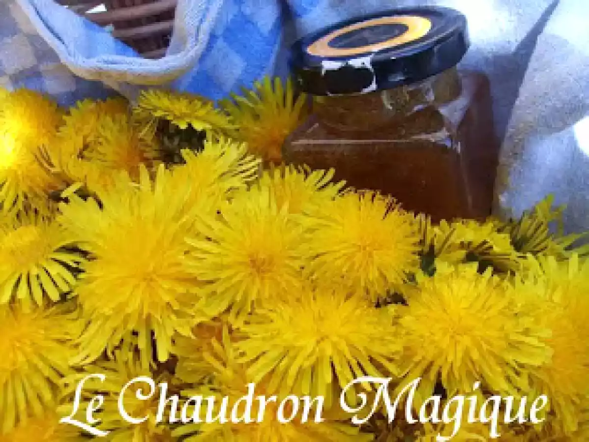 Gelée de pissenlits de pissenlits, miel de pissenlits.