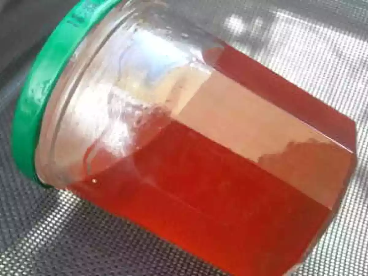 Gelée de pommes épicée (vanille, cannelle)