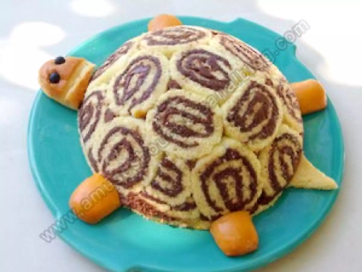 Gertrude la tortue - photo 4