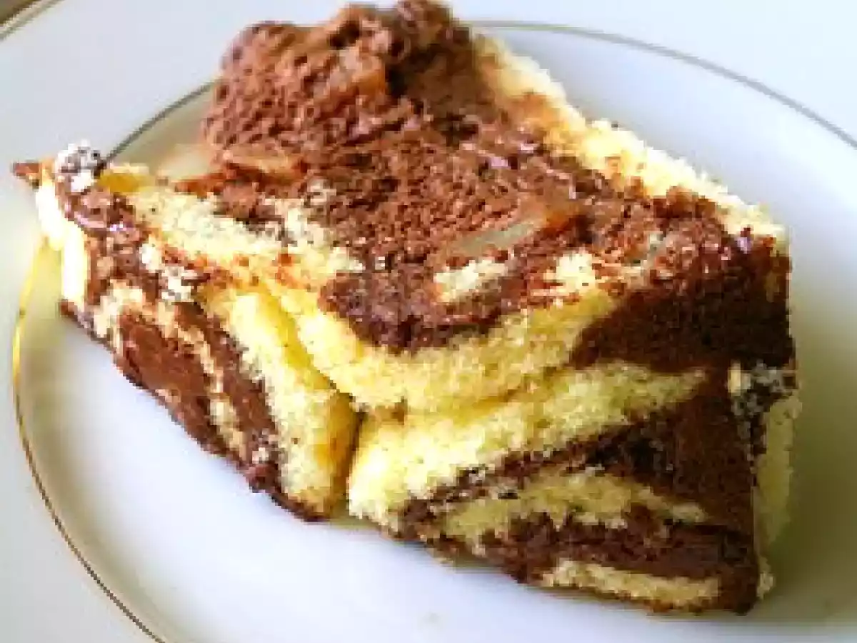 Gertrude la tortue - photo 6