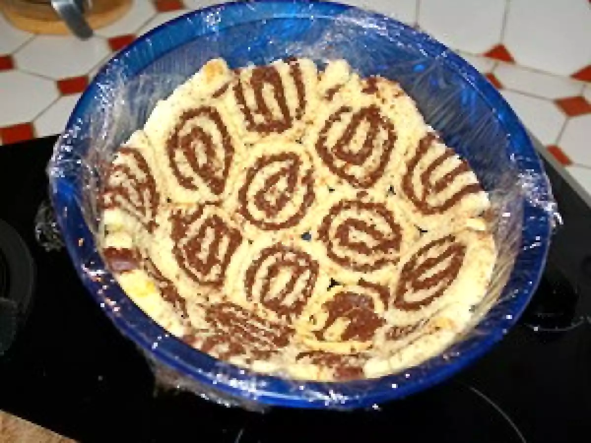 Gertrude la tortue - photo 8