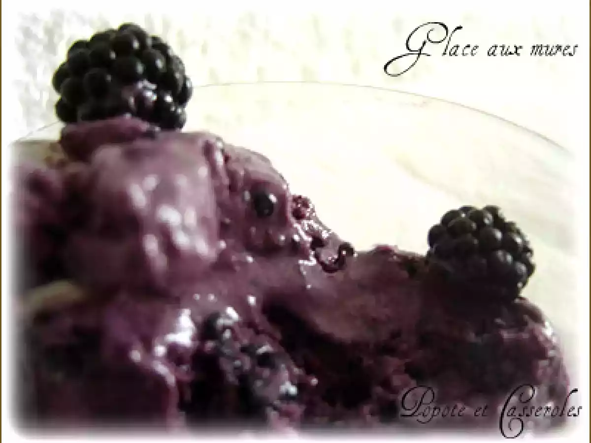 Glace à la mûre - photo 4