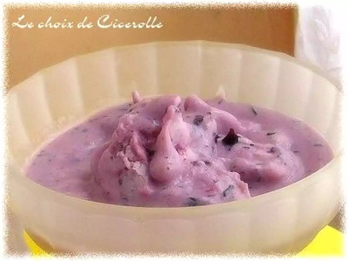Glace à la myrtille -sans oeuf ni lactose- dans petite sorbetière pas chère