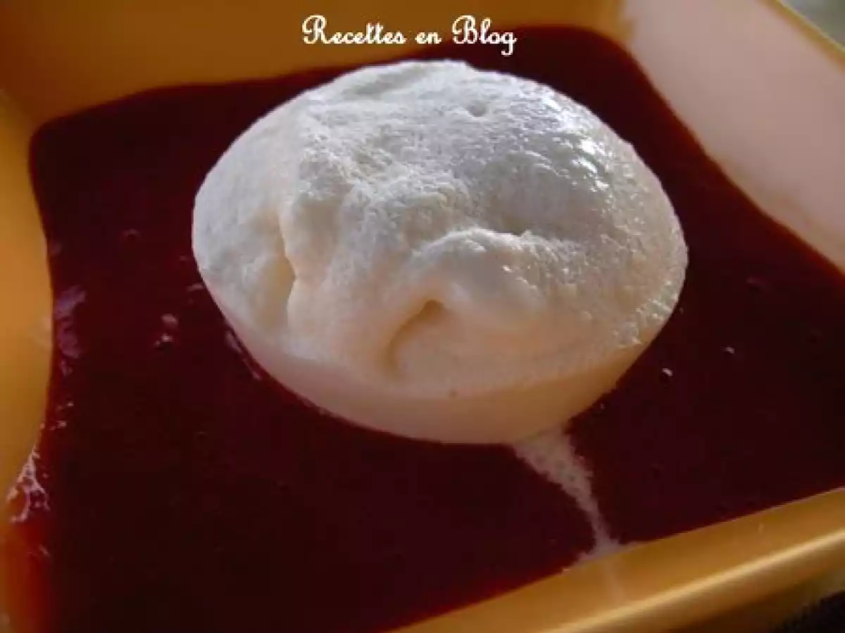 GLACE A LA NOIX DE COCO ET SON COULIS DE FRAISES
