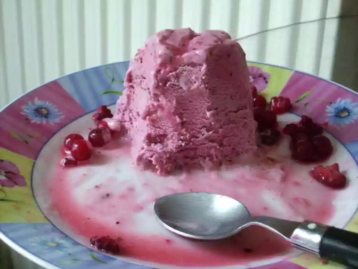 GLACE AUX FRUITS ROUGES - photo 3