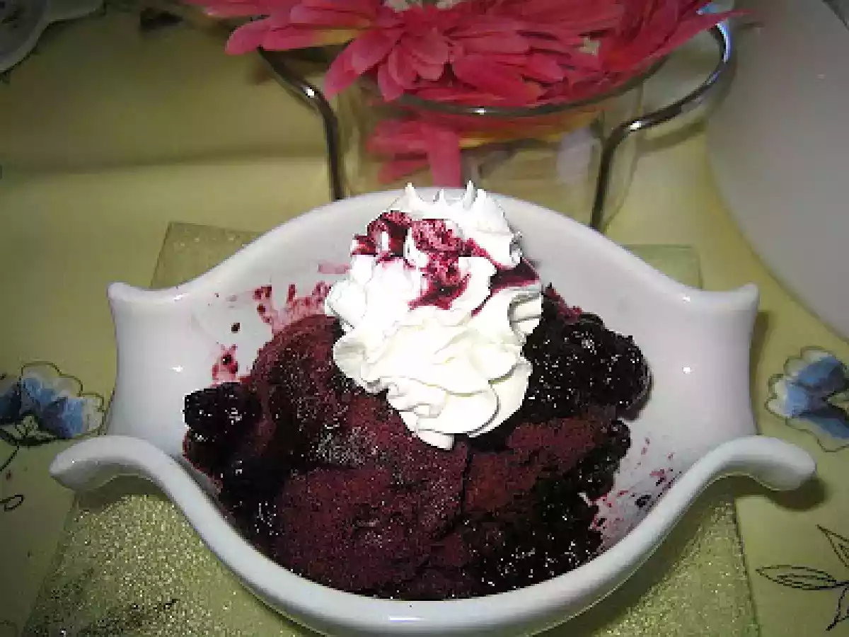 Glace aux myrtilles!!!! - photo 2