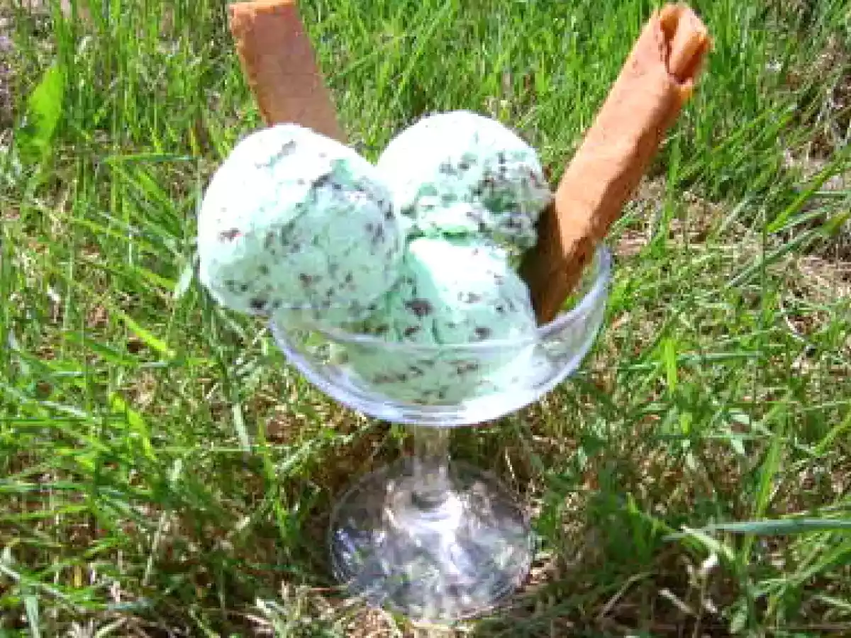 Glace menthe-chocolat sans sorbetière