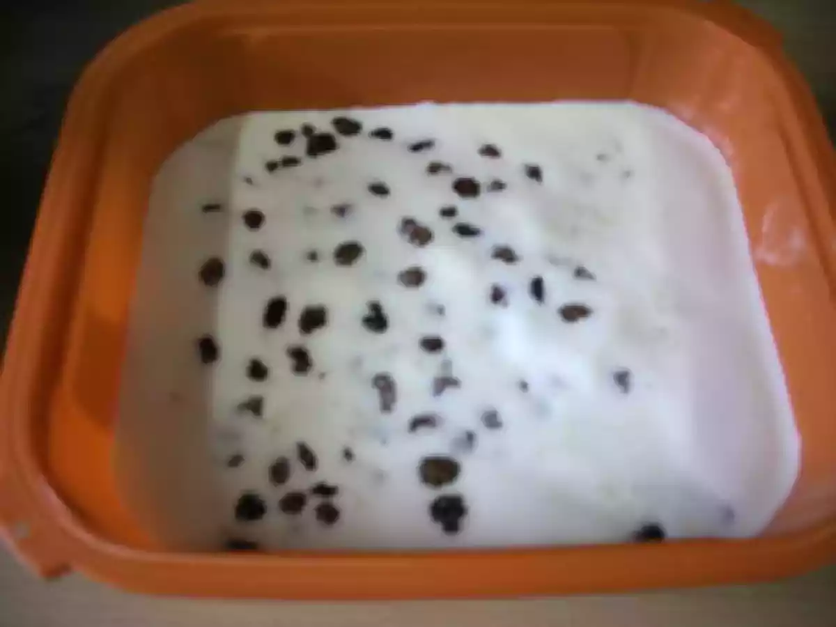 Glace Rhum-Raisins (crème glacée)