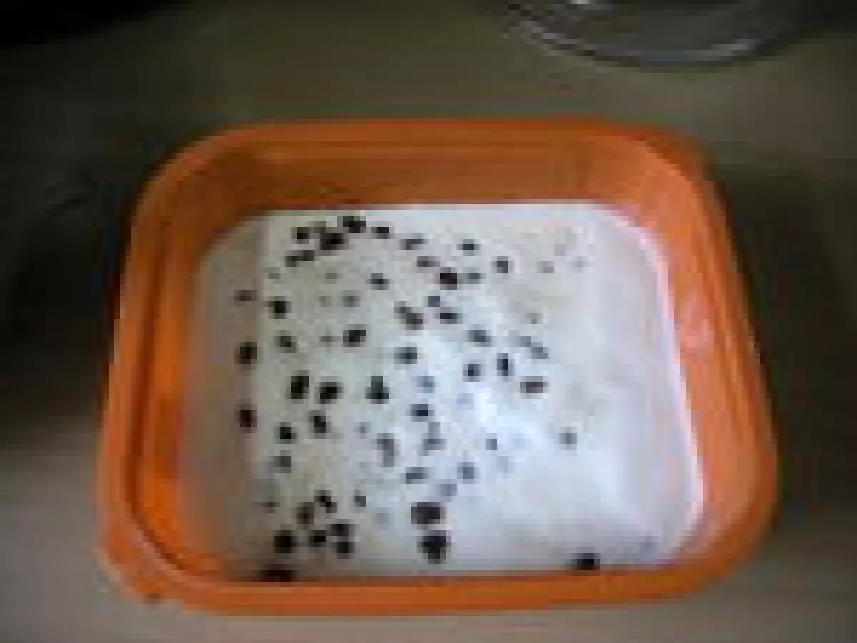 Glace Rhum-Raisins (crème glacée) - photo 2