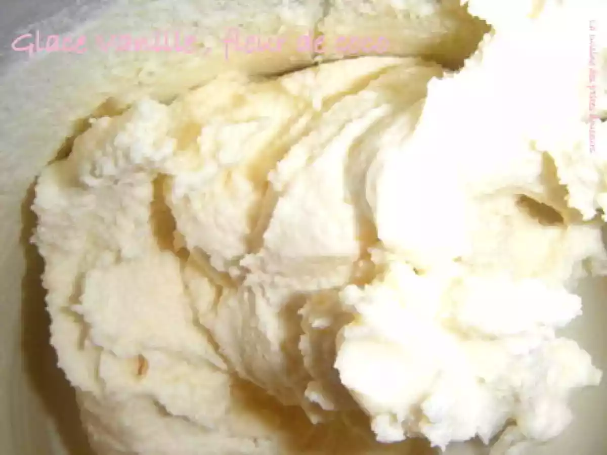 Glace vanille, fleur de coco