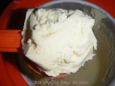 Glace vanille, fleur de coco, photo 2