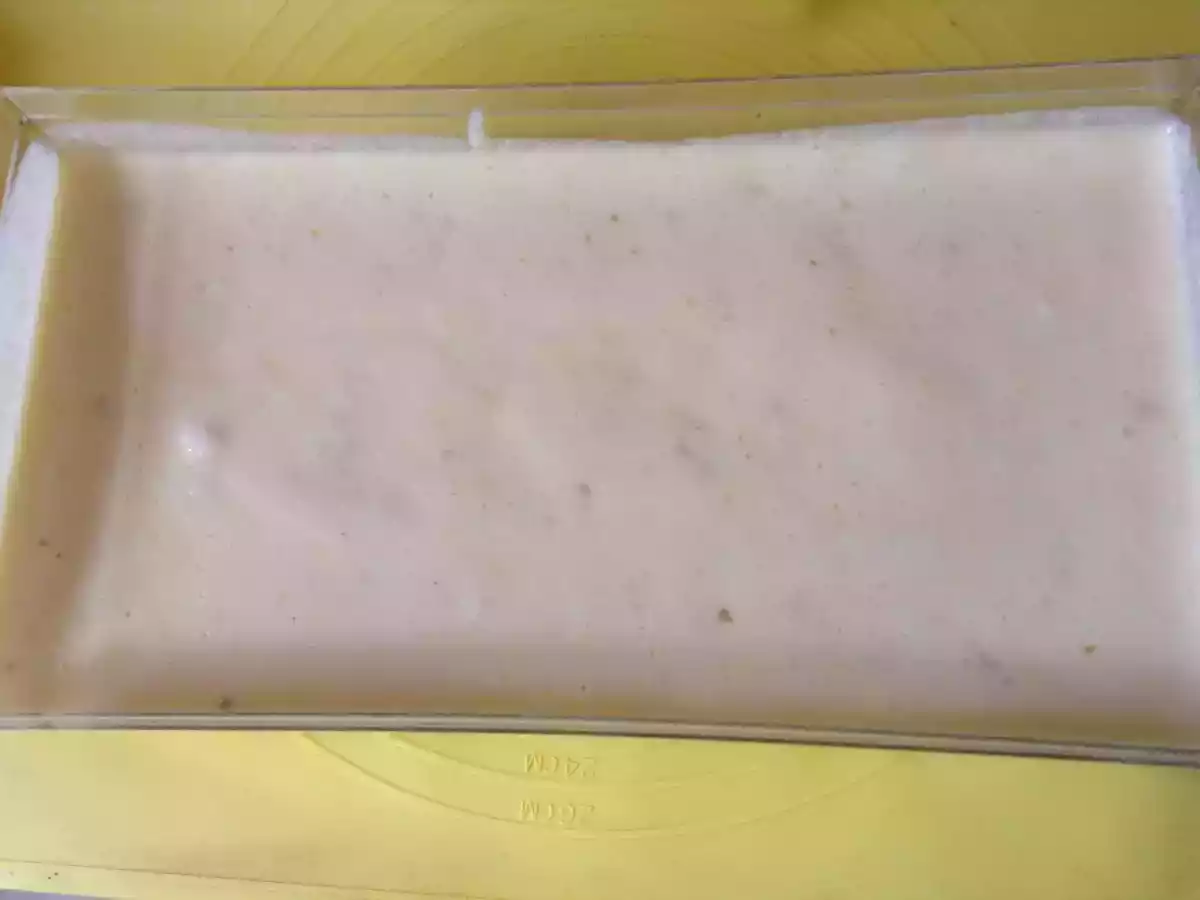 Glaces aux dattes goût vanille sans sorbetière - photo 7