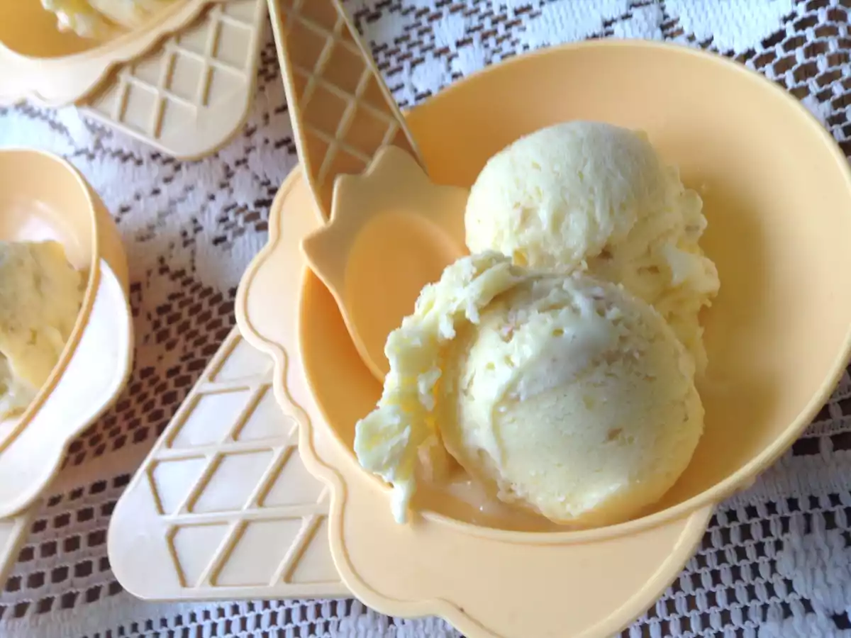 Glaces aux dattes goût vanille sans sorbetière - photo 10