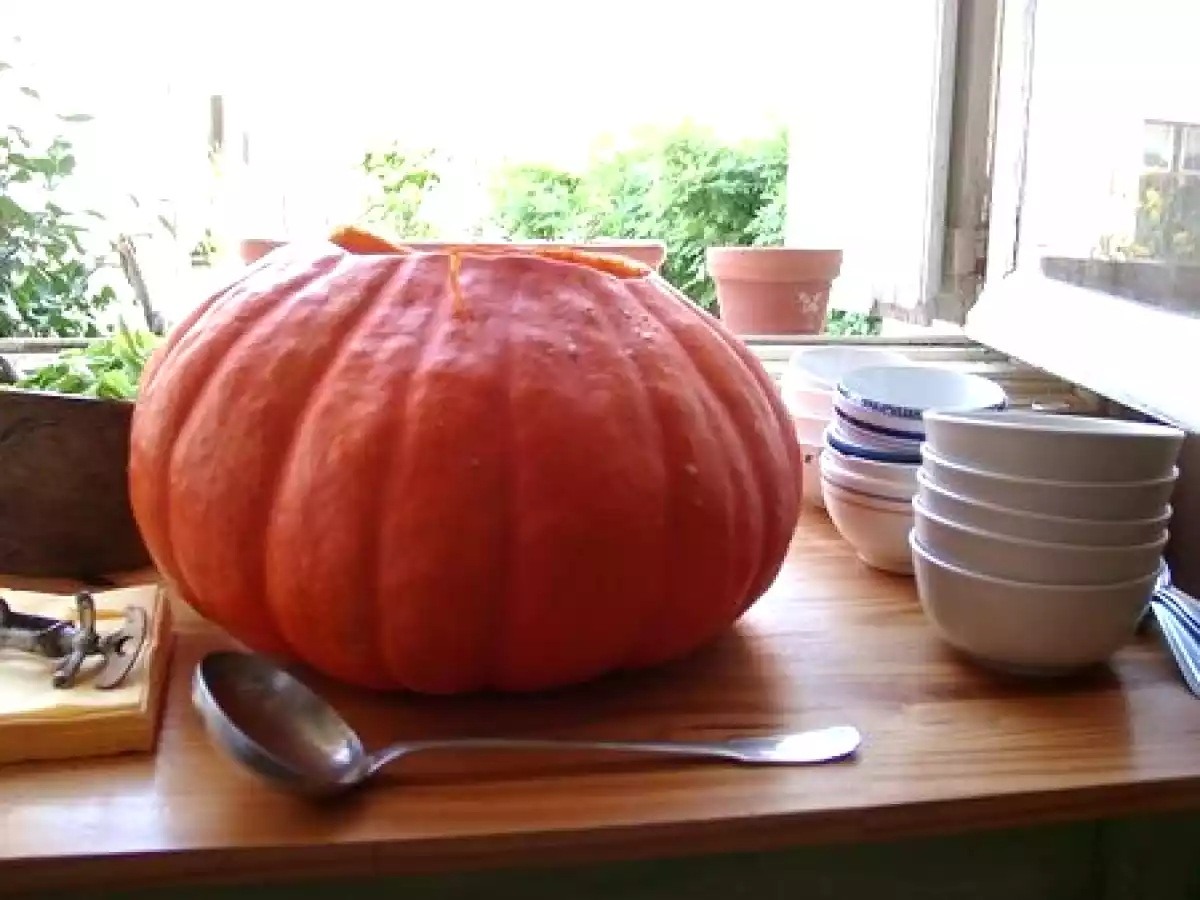 Grande soupe au potiron pour petite fête de la courge entre amis
