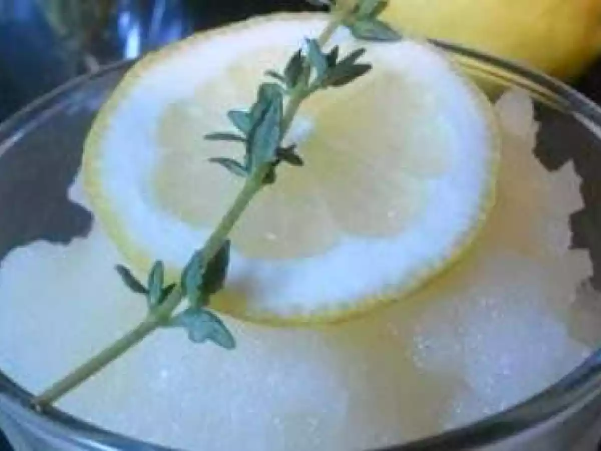 granité citron thym - photo 2