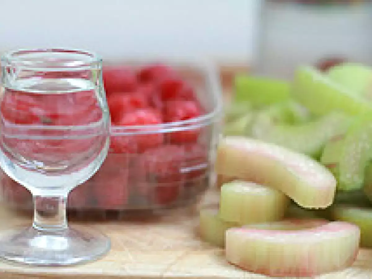 Granité framboise-rhubarbe & soupçon de vodka - photo 3