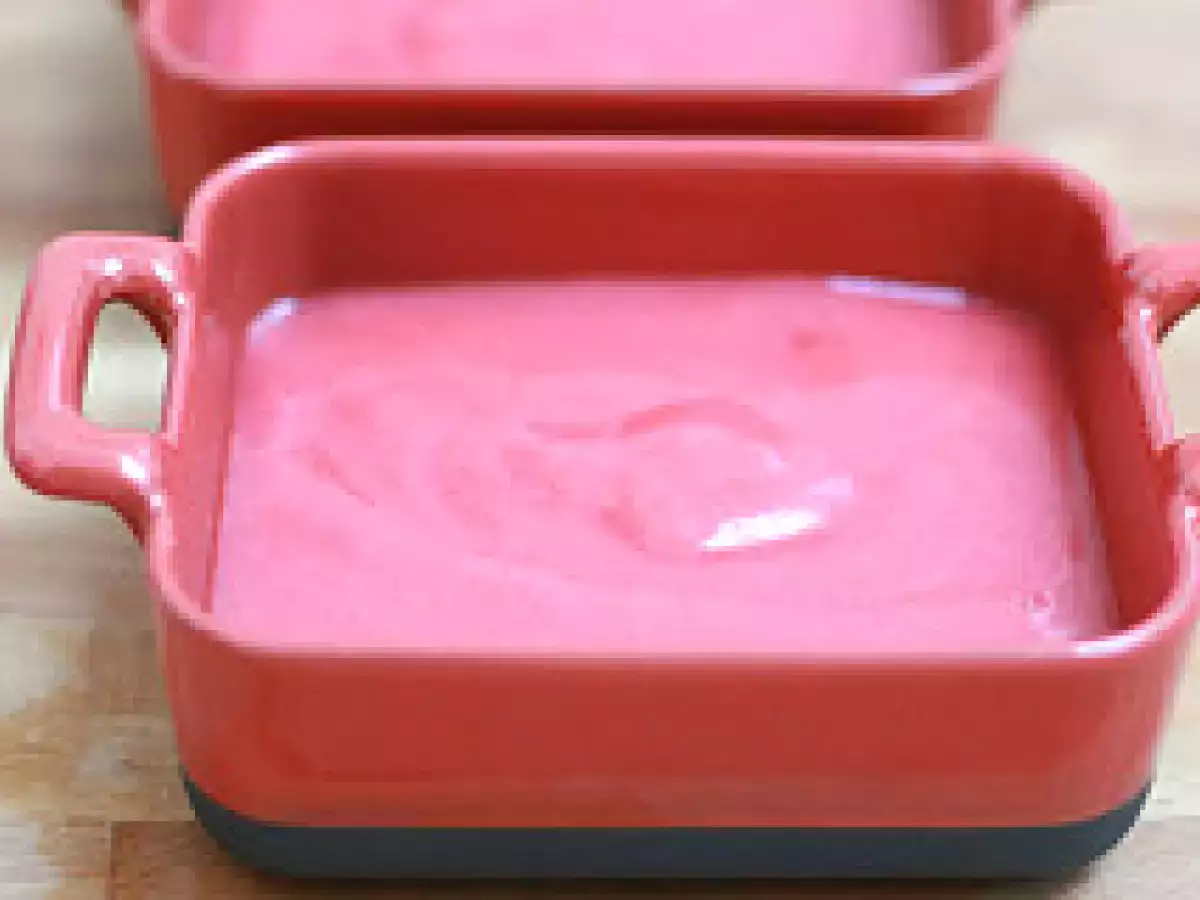 Granité framboise-rhubarbe & soupçon de vodka - photo 6