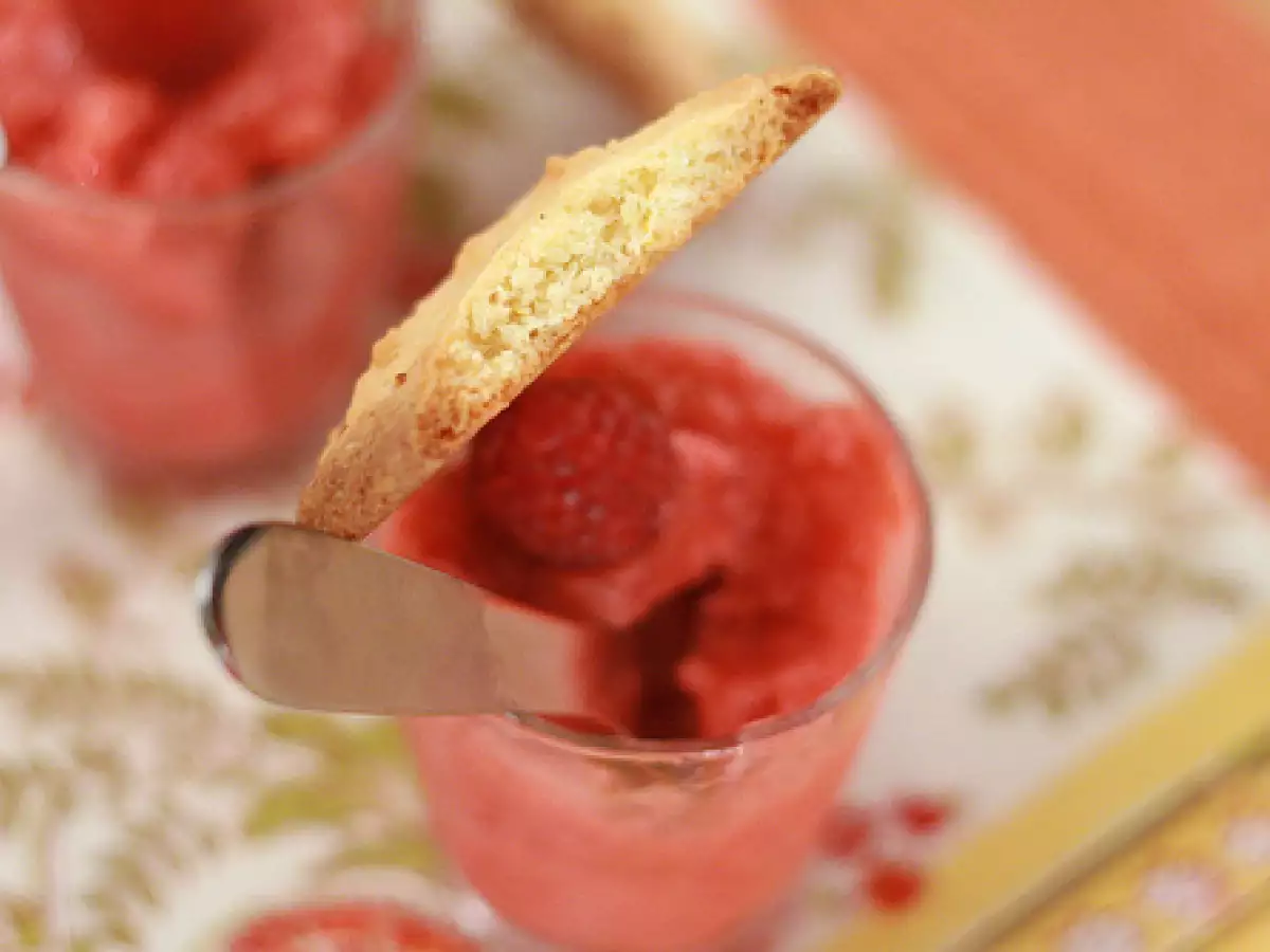 Granité framboise-rhubarbe & soupçon de vodka - photo 9