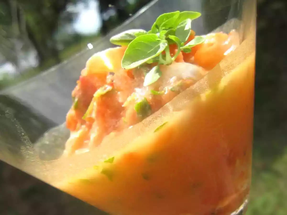 Granité tomate basilic et huile d'olive