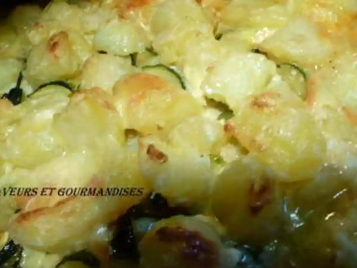 GRATIN AUX MAROILLES - photo 3
