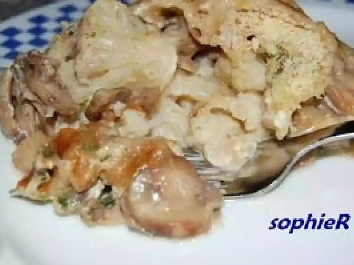 Gratin de champignons et de chou fleur