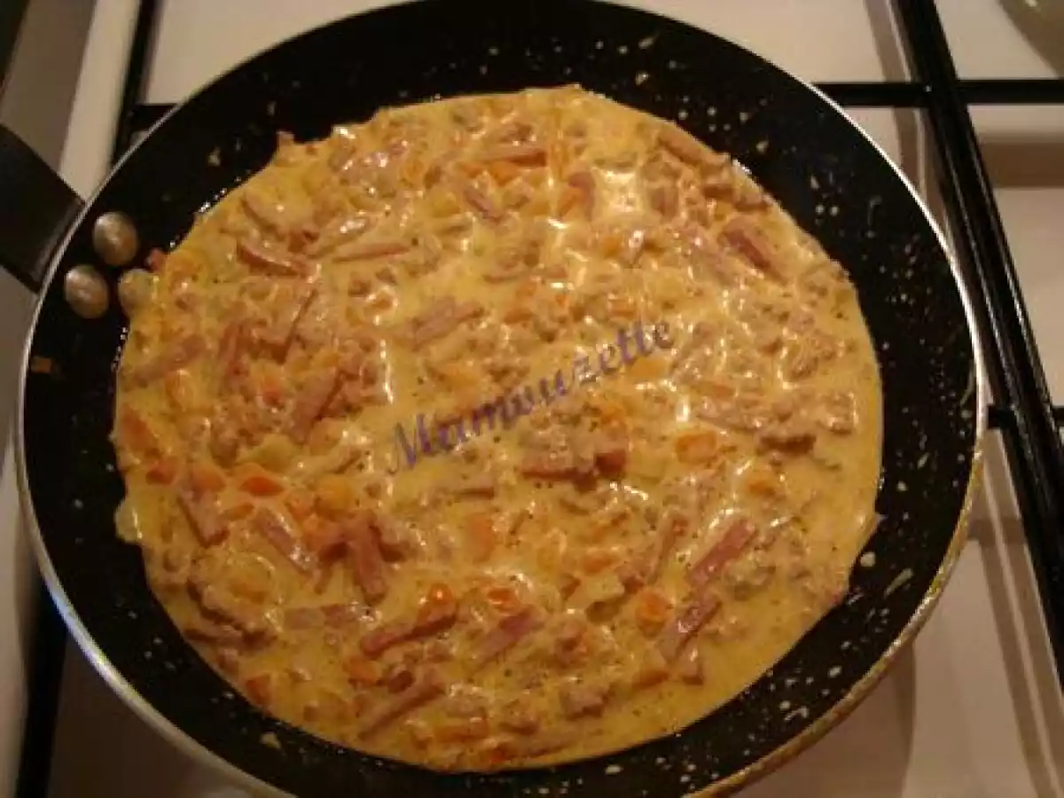 Gratin de chou blanc au veau - photo 5