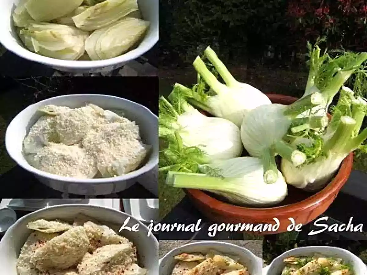 Gratin de fenouil à la crème et au Grana Padano - photo 2