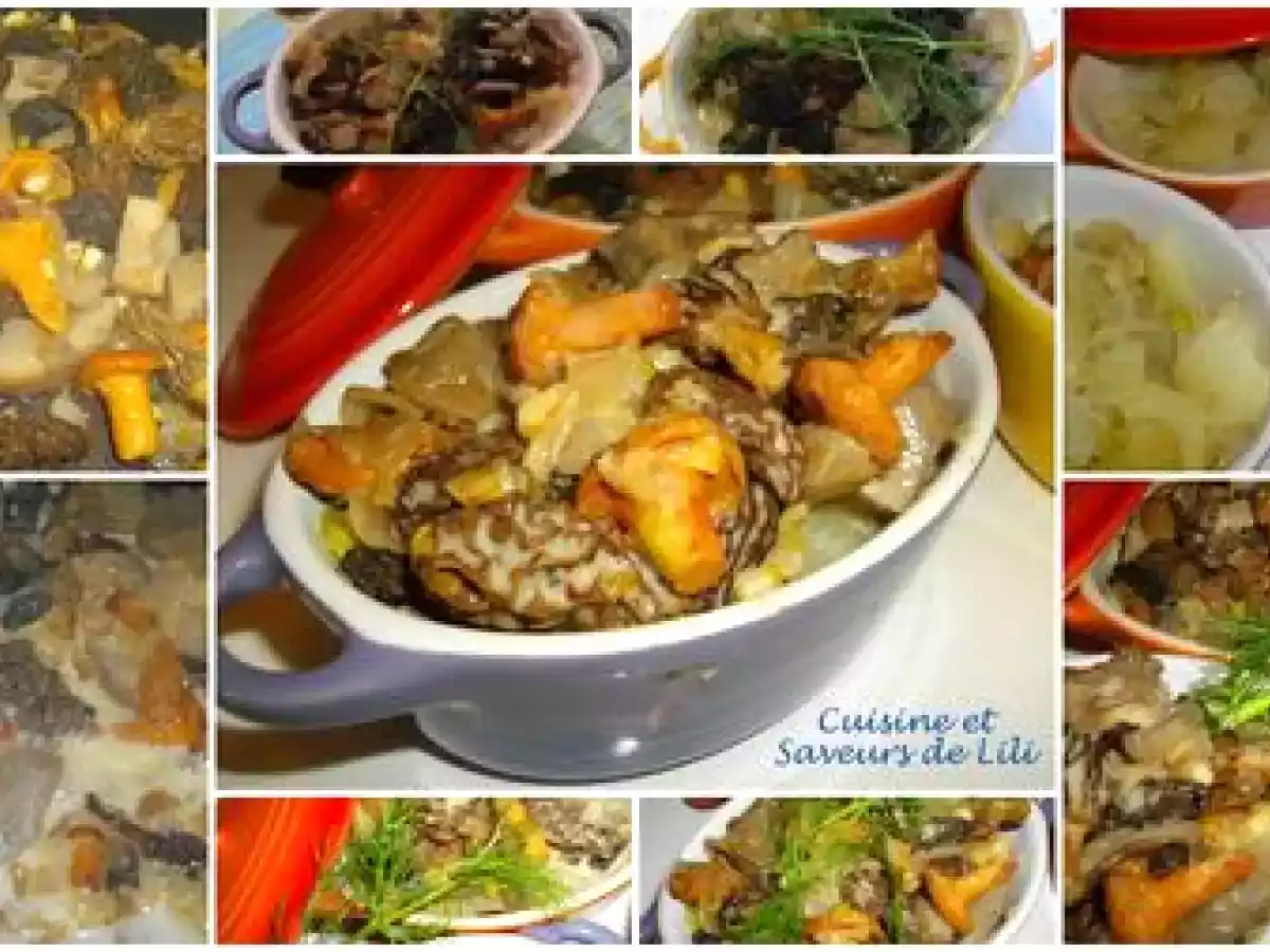 Gratin de fenouil et champignons