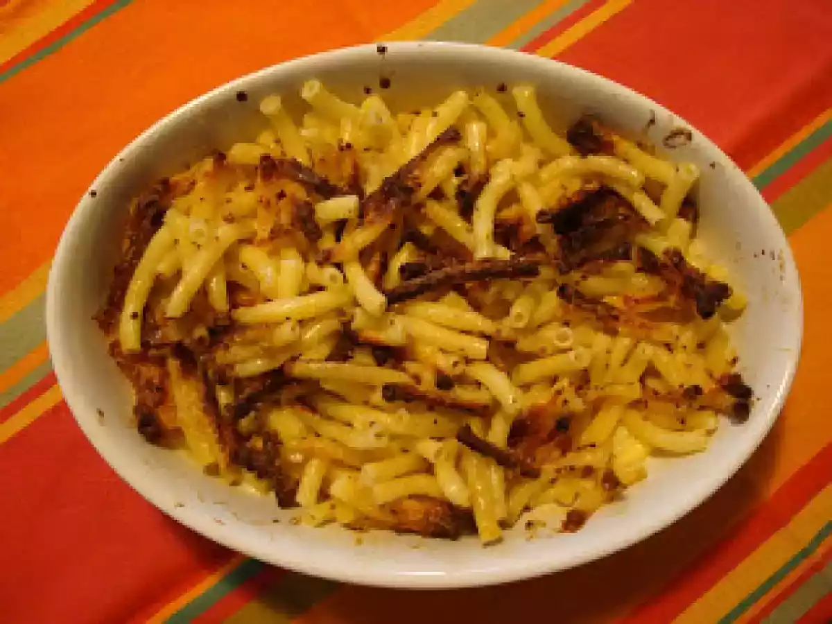 Gratin de macaronis au Saint Marcellina