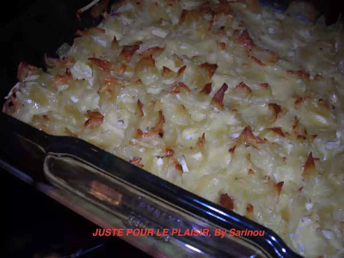 GRATIN DE PÂTES