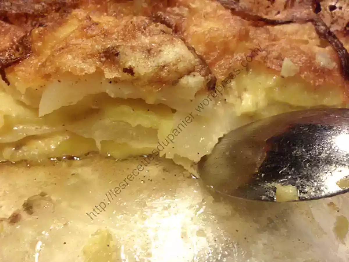 Gratin de radis noirs et pommes de terre.