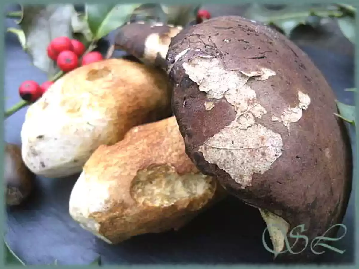 Gratin de riz aux champignons - photo 2