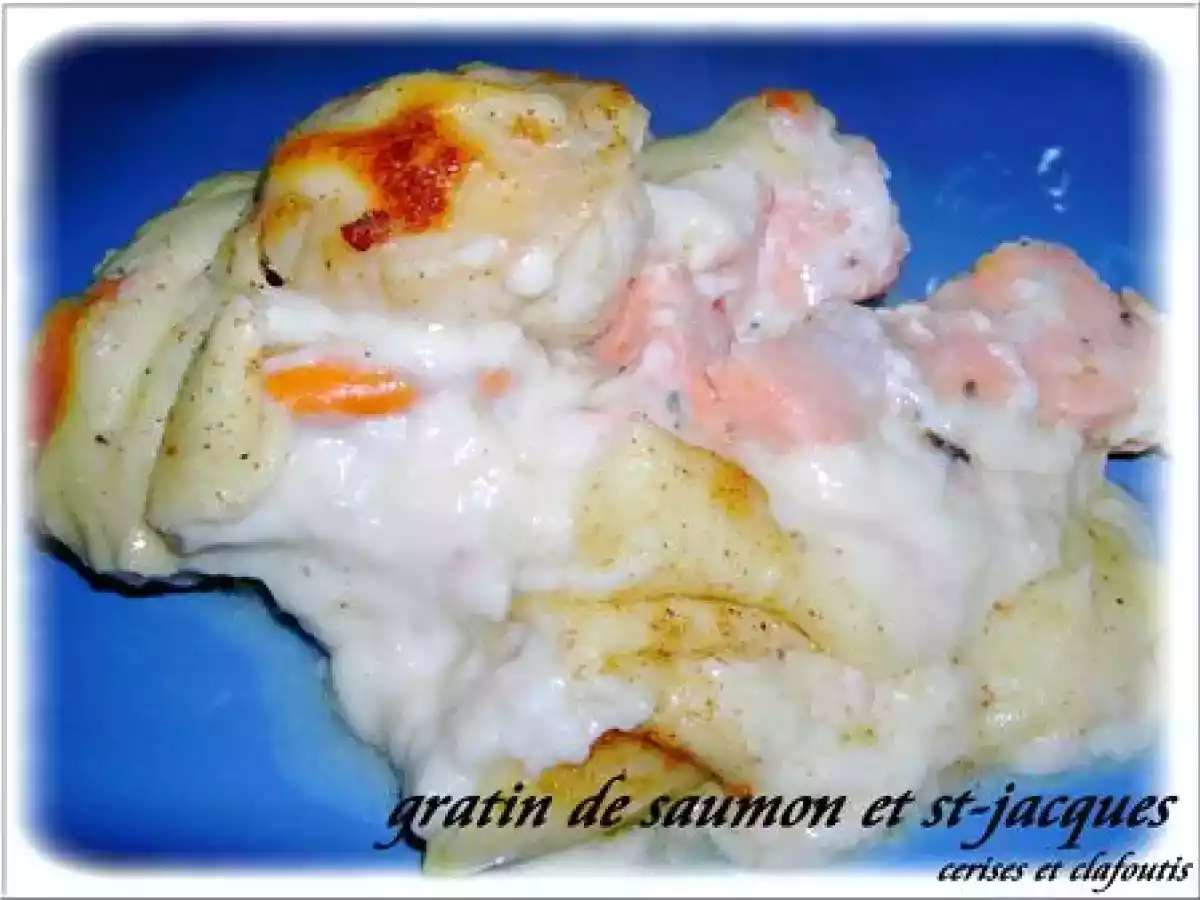 GRATIN DE SAUMON ET ST-JACQUES - photo 2