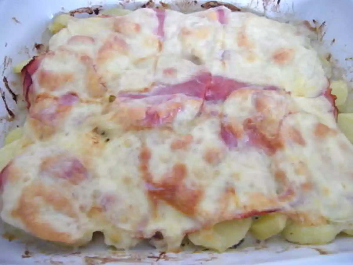 Gratin hollandais - photo 2