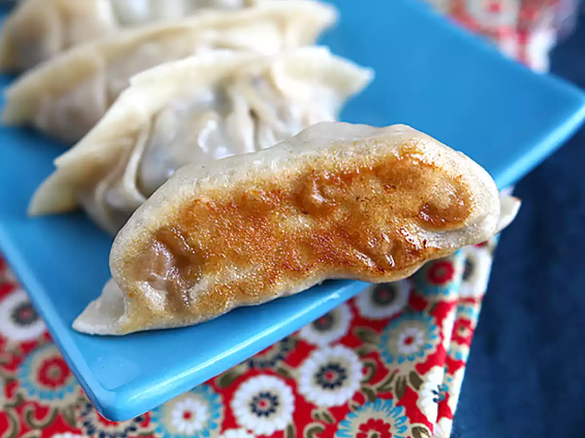 Gyozas au poulet, carottes et champignons - photo 8