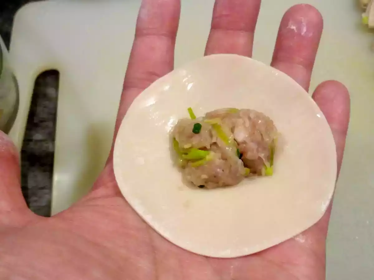 Gyozas ou Raviolis Japonais - photo 2