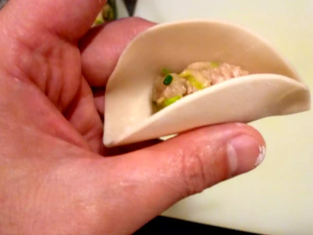 Gyozas ou Raviolis Japonais - photo 3