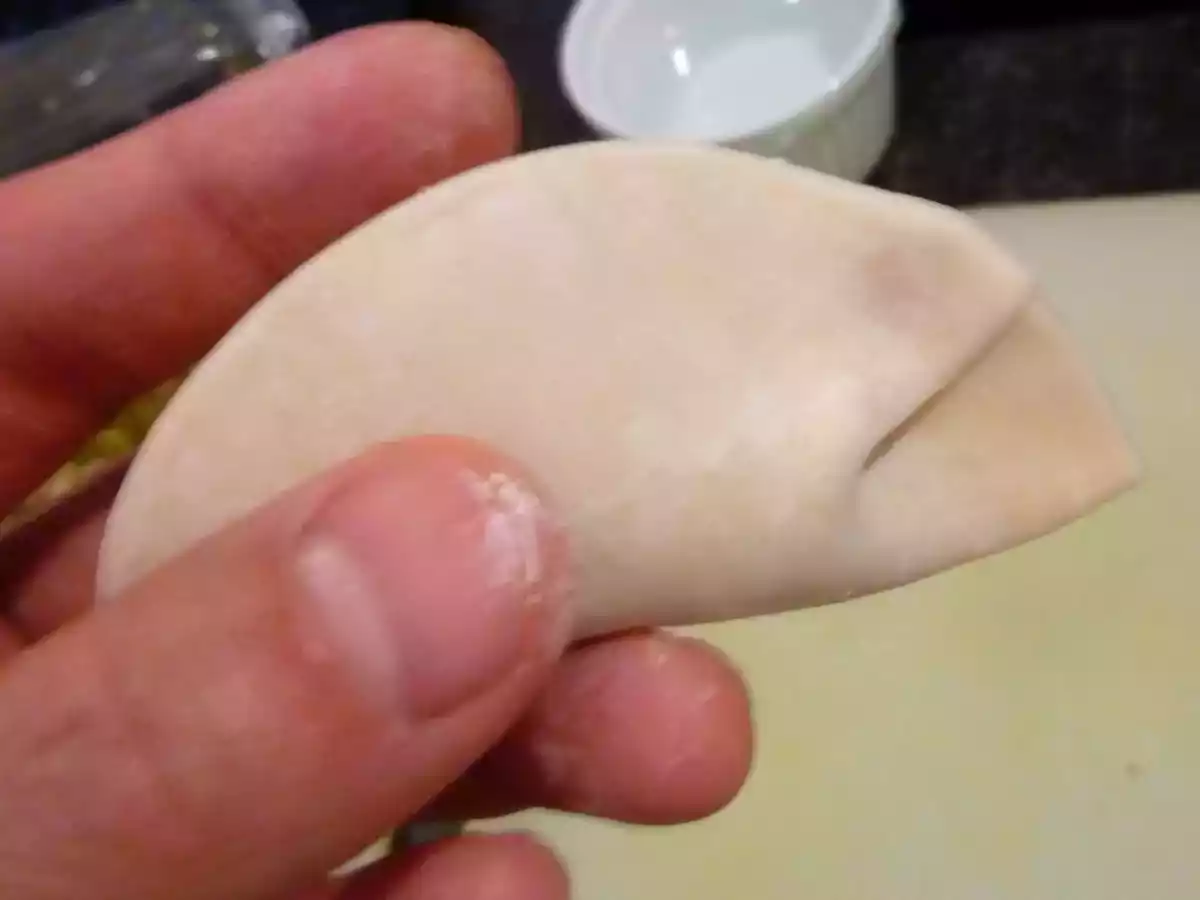 Gyozas ou Raviolis Japonais - photo 4